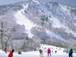 ＜安比高原スキー場＞2025‐26シーズン開幕まであと30日！